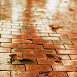 dailyPhoto11